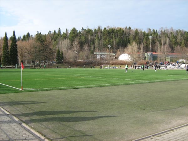 Kisapuiston tekonurmi